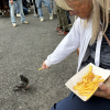 A woman feeding the Paris piegeons!