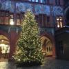 Christmas tree decoration in one of the Basel churches 