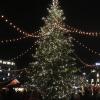 Christmas tree in Zurich market 
