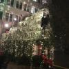 Famous singing tree in Zurich where volunteers will sing Christmas carols 