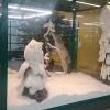 The university has a lot of displays. The scene in the snow is my favorite