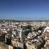 A panoramic view of Seville, Spain from the top of the Giralda tower 