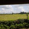 North of Denpasar is Ubud, which is just south of many rice fields/terraces and mountains