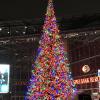 The modern Christmas tree tradition started in Germany in the 16th century