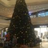 In Ulaanbaatar, Christmas is not a national holiday, but a couple places like the Shangri-La mall will still decorate with a Christmas tree.