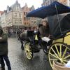 They offer horse carriage rides throughout the city center of Brugge