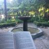 Parque Calixto y Malibea: my favorite place to read