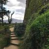 The rain and climate allow for the vegetation covering the castle wall