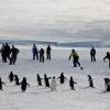 Playing on the ice with the penguins!