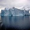 Antarctic beauty