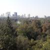 The view of Bosque de Chapultepec, or Chapultepec Forest, from the castle