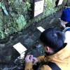 You can buy a fortune, or omikuji, at some shrines... the omikuji is initially blank, but you then lay it in water and wait for the test of your fortune to appear