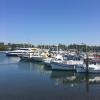 The boats used for fishing and sailing are parked right next to the fish market