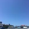 Millions of visitors park here every year to get a taste of the fresh seafood