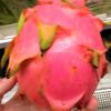 This cool-looking fruit is called pitaya in Portuguese and dragonfruit in English. It's expensive too: 26.99 reais
