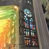 Another one of Gaudí’s works, this was the inside of a beautiful cathedral