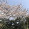 Spring is in full swing on the island