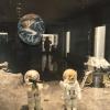 The bears land on the moon