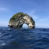 Limestone disintegrates over time when in contact with water, which is one of the reasons for arches like these and the caves all over Nusa Penida, a small island off of Bali