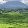 Bali is home to several volcanoes like this one, Bratan. Volcanoes make the soil incredibly fertile in Indonesia