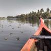 A beautiful boat ride through the warm backwaters of Alleppey, Kerala