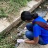 Here, I am searching for hoverfly larvae in a drainage ditch because some hoverfly larvae eat the microbes in dung and sewage