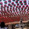A man hanging his wish on a lotus lantern