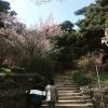 A stone pathway that leads to the highest point on the mountain where a temple resides