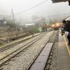 I stopped back in Fenqihu when I left Alishan as it had a train station that would take me back to the city