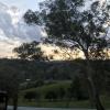 Check out the view from the cabin I was staying in!