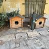 Street cats have many places to rest along Athens' charming streets