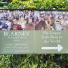 Blarney Woollen Mills are probably the most famous woollen mills in Ireland - woollen mills take sheep wool and process it into usable material like yarn