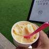 Hallabong (popular oranges from Jeju Island) gelato, which was absolutely my favorite flavor