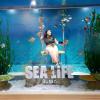 I've visited many aquariums here and the Sea Life in Busan had the best photo spots