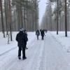 This trail was part of a five-mile hike in Oulanka. Most of it was not on a trail like this but through actual snow.