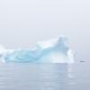 If you look closely, you can spot the tiny kayak next to this huge iceberg