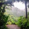 Monte Verde is a cloud forest with high elevation, cool temperatures and low oxygen