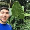 I came across a giant leaf that was larger than my torso!