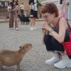 Aside from all the cool fish, my favorite animal that I saw on this trip was a baby capybara (pictured here with my friend)
