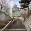 There are many stairs and roads lined with cherry blossom trees in Korea that are beautiful in the spring 