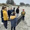 With a scale, a bucket, a few meter sticks and our filters, we weighed and then sifted the top layer of sand in a 1x1 M square in the high tide line