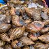Accra is close to the Atlantic Ocean, so seafood and large snails are a delicacy in Makola Market!