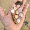 Whereas the land is dry and dusty in Tamale, you can find seashells on the shore of Keta Lagoon