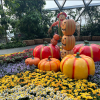 I was in Singapore around Halloween, so they had several fall themed gardens