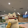 This cat is made of flowers at the airport in Singapore