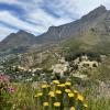 A beautiful view of Table Mountain as we descended from Lion's Head