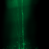 These thick tufted pyramidal neurons are my main target for my current study, and here is my most recent image!