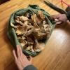 Mushroom foraging is a massive part of Latvian culture, and this is our three kilogram (!) haul of hedgehog mushrooms after tagging along with some local guides in the forest!