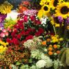 Look at these gorgeous flowers at the market. I want to buy them all!