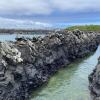 Isabela Island's volcanic rocks and channels. 